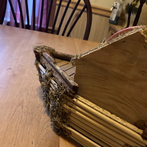 Noah's Ark - Picture 15 of 15